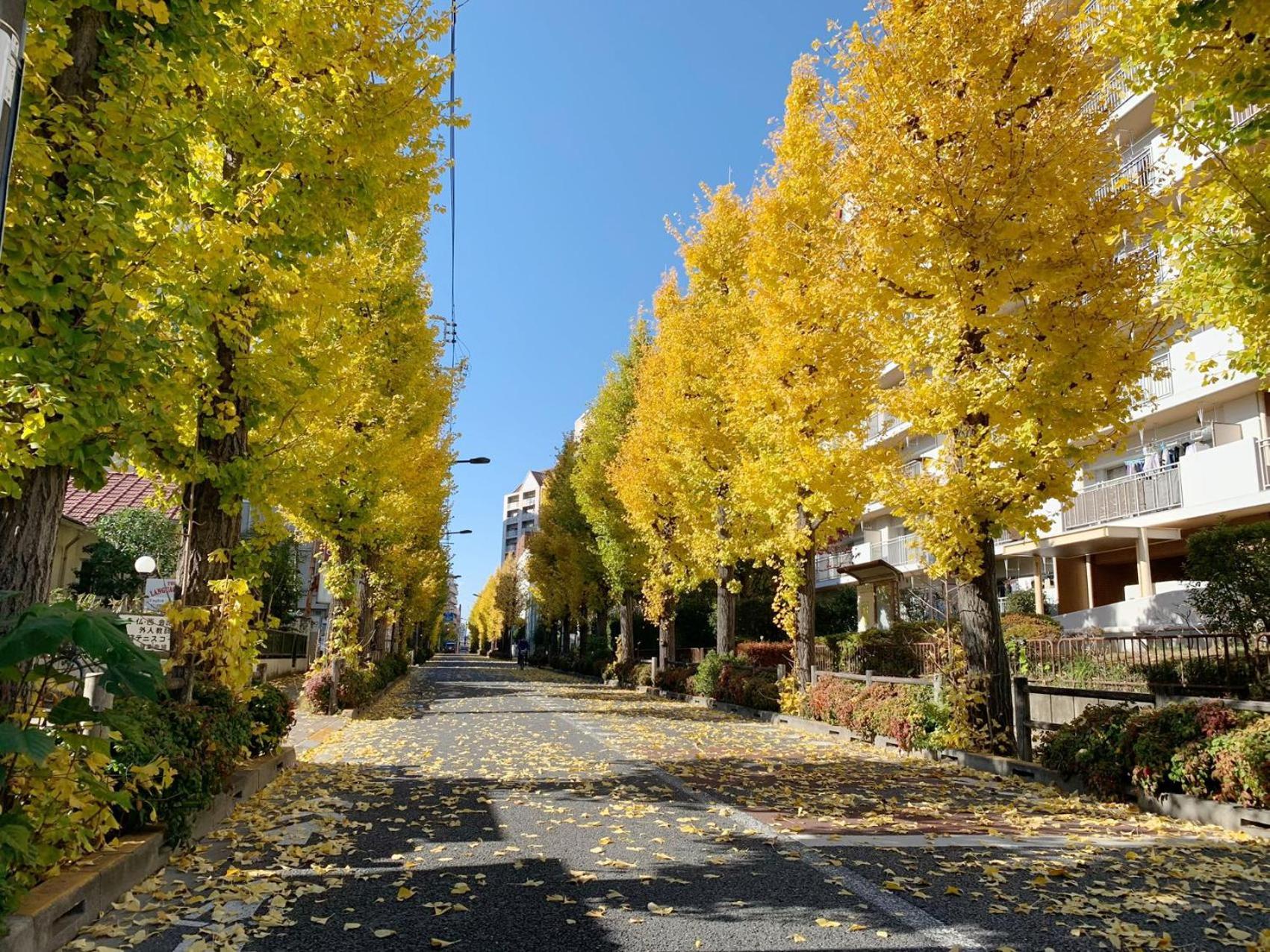 Rosenheim 1LDKルームA 東京都新宿区大久保駅徒歩3分新大久保駅徒歩7分無料WIFI Präfektur Tokio Exterior foto